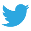 ICON - Twitter bird
