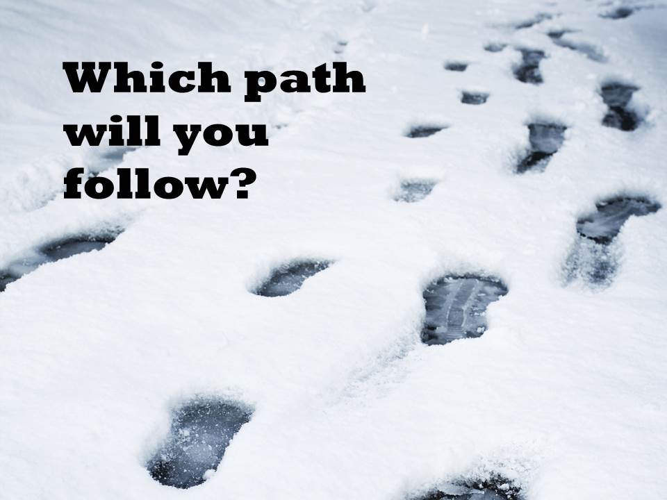 Snow Blizzard - which path will you follow