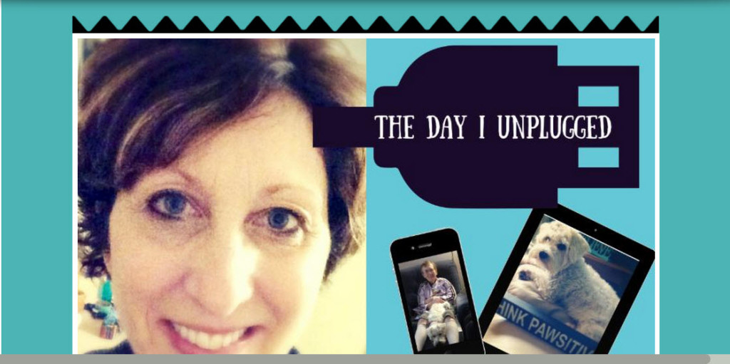 image - Sandra-the day I unplugged
