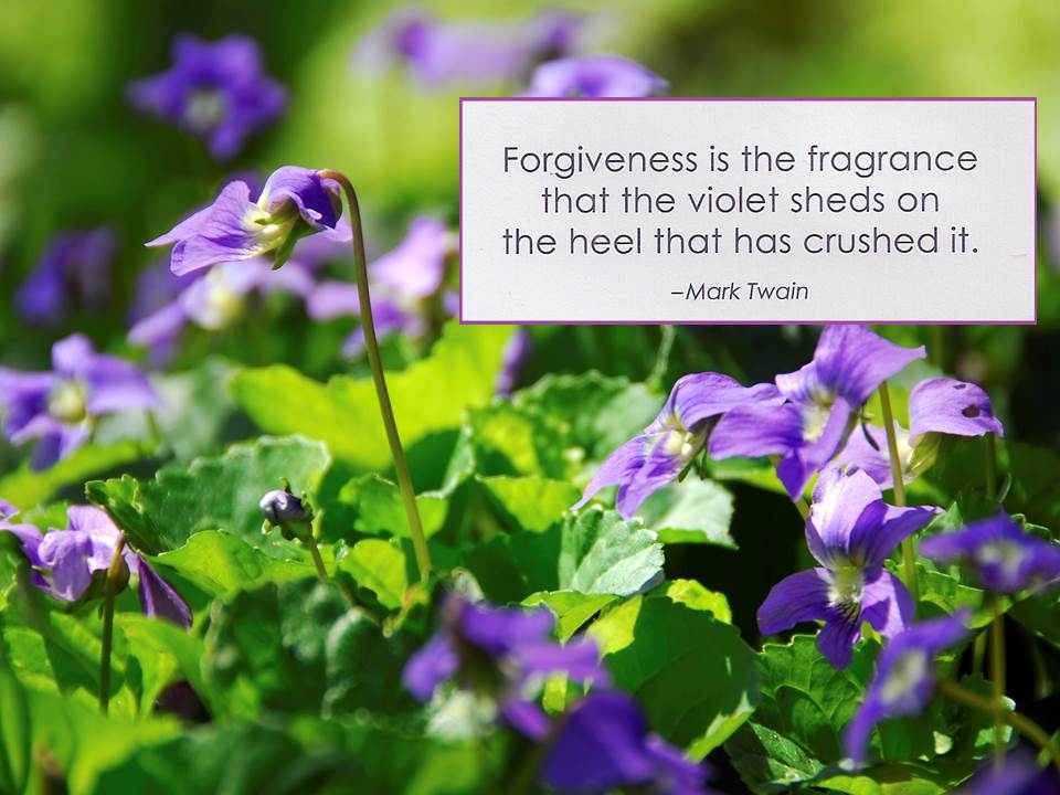 slide with FORGIVENESS quote